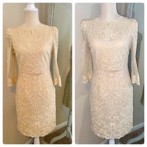 Gather Beauty Exquisite Lace Dress